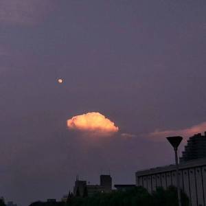 成人免费看片❌❌❌amp39
